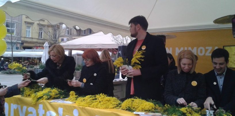 3. NACIONALNI DAN BORBE PROTIV RAKA MATERNICE I 7. DAN MIMOZA