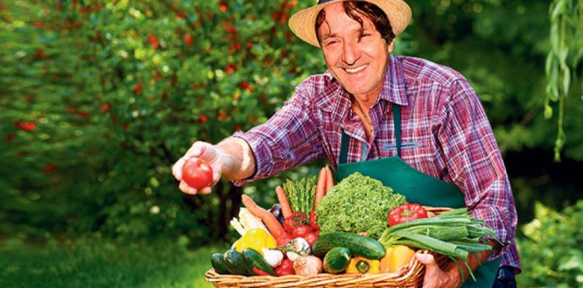 BREGOVIĆEV HOBI: Uzgajam paradajz i krastavac u svom dvorištu