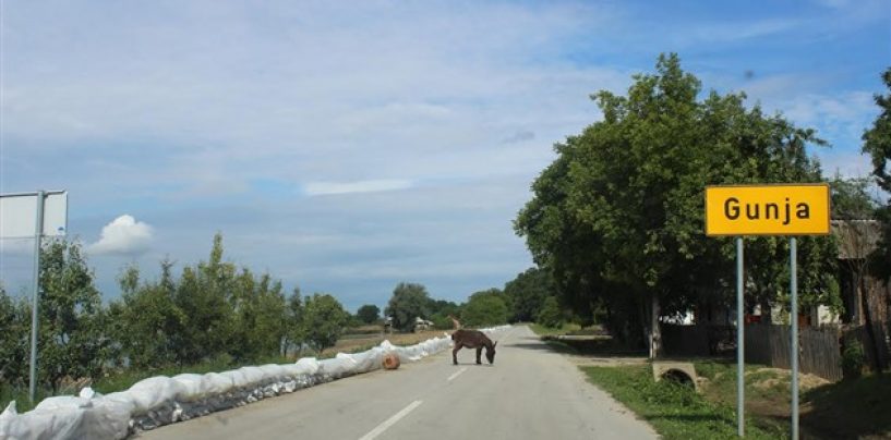 PRIOPĆENJE CRVENOG KRIŽA O GUNJI