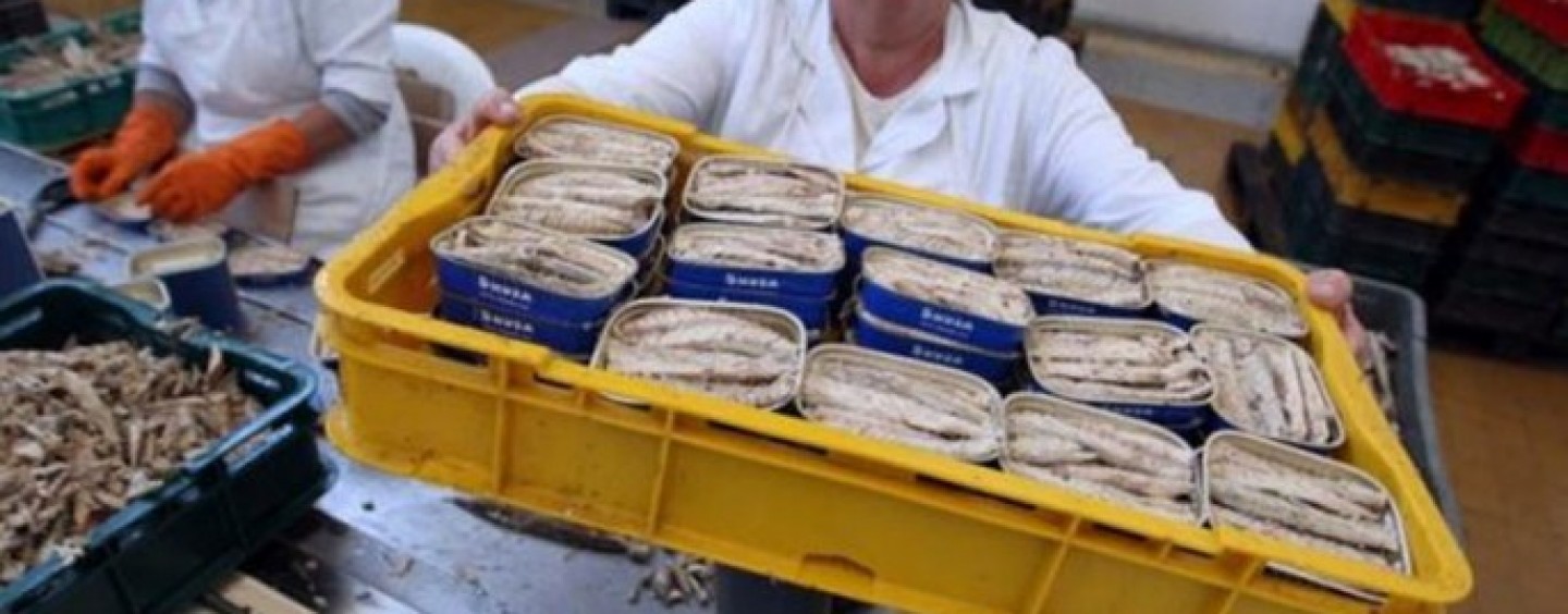 ADRIA JE POSLJEDNJI PROIZVODNI POGON U ZADRU-PISMO MINISTRU FINANCIJA