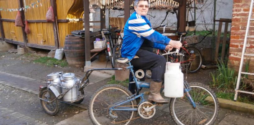 ZBOG EU HRVATSKU ČEKA PROPAST MLJEKARSTVA