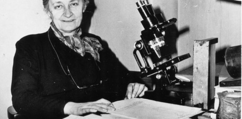 IZLOŽBA O VANDI KOCHANSKY-DEVIDE