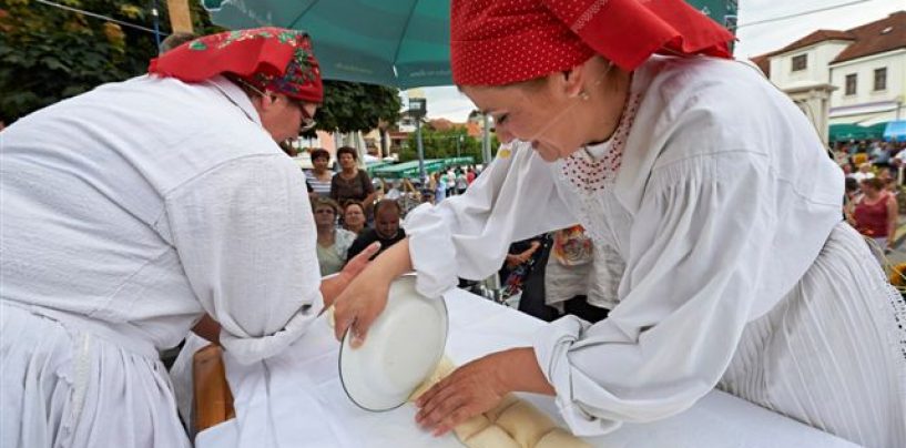 VLAK ZA ŠTRUKLIJADU U ZABOKU