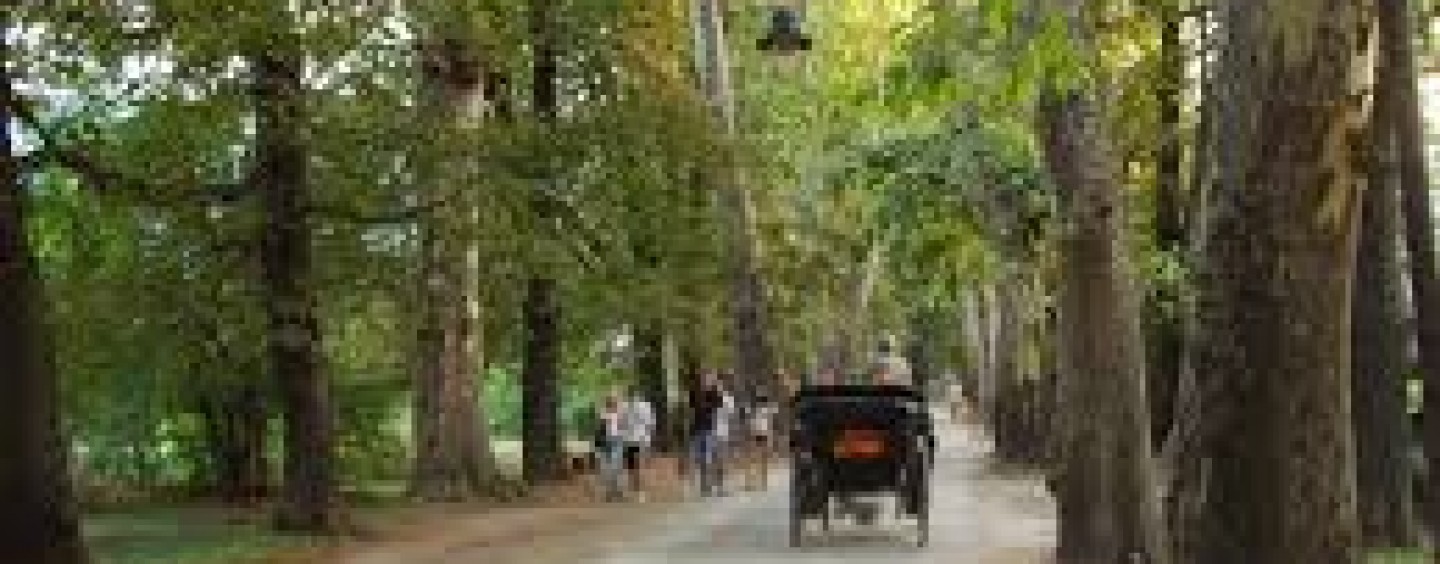 DIREKTOR ŠKOLE NA ILIDŽI OSUMNJIČEN ZA SEKS S DJETETOM