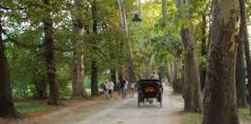 DIREKTOR ŠKOLE NA ILIDŽI OSUMNJIČEN ZA SEKS S DJETETOM