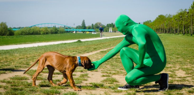 ZELENE NINDŽE U BORBI PROTIV BUHA I KRPELJA