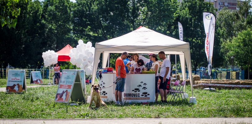 REVIJA UDOMLJENIH PASA