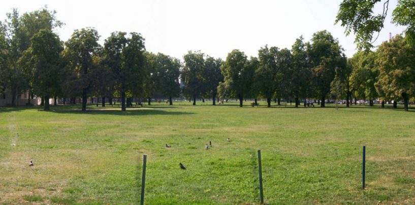 BANDIĆU LIVADU PORED RUDOLFOVIH VOJARNI DODJELI SEBI