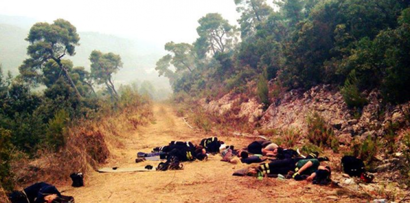 VATROGASCE TREBA NAGRADITI LJETOVANJEM NA BRIJUNIMA