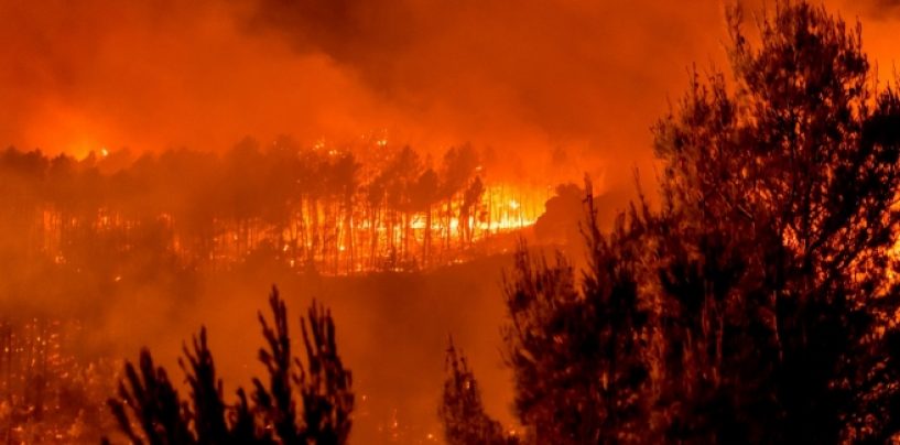 OSTOJIĆ I PERINIĆ SU TREBALI PRIHVATITI RUSKU POMOĆ I PODIĆI CIVILNU ZAŠTITU