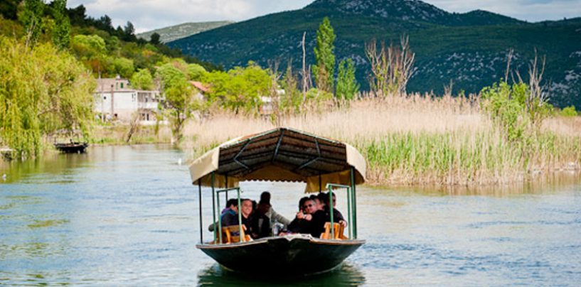 U DOLINI NERETVE PROIZVODE  10 TONA DINJA PO HEKTARU