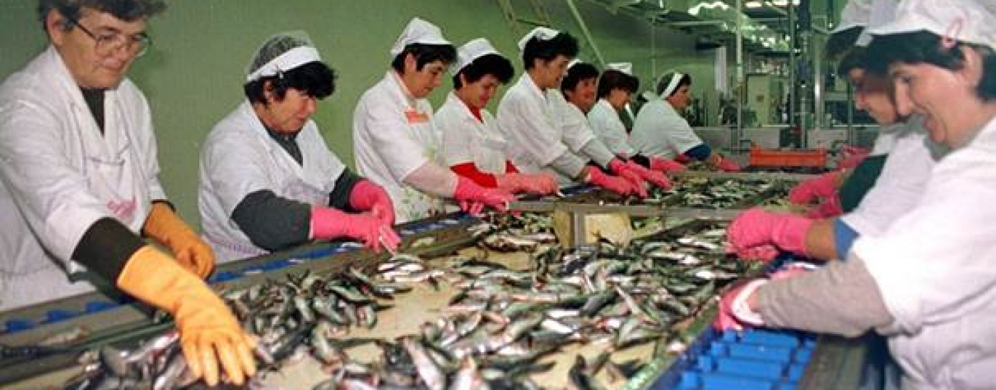 SHZ: STEČAJ U ADRIJI ZADAR JE NASTAVAK KRIMINALA I PRIVATIZACIJE