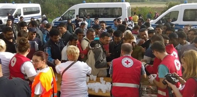 CRVENI KRIŽ PRIKUPIO 1.423.872 KUNA ZA IZBJEGLICE