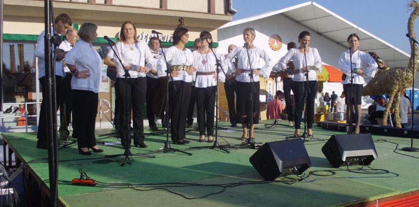 VINKOVAČKE JESENI IZ DANA U DAN