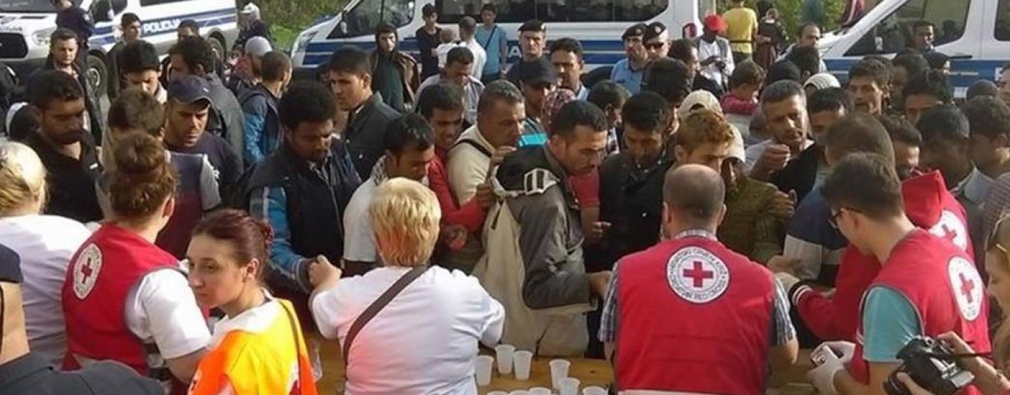 STRANKA ZA GRAD: SOLIDARNOST, A NE ZIDOVI