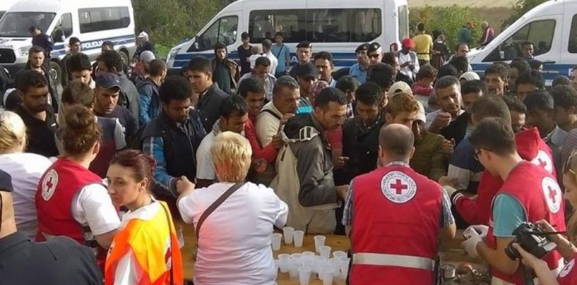 STRANKA ZA GRAD: SOLIDARNOST, A NE ZIDOVI