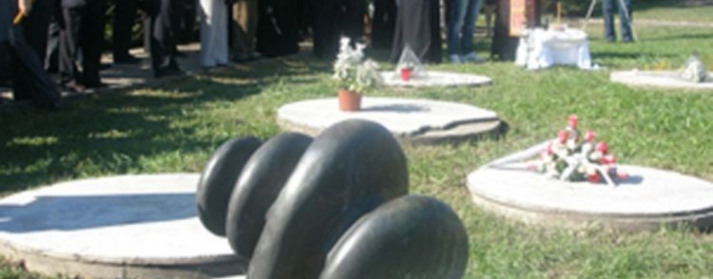 U SISKU JE PO TRIDESETERO DJECE S KOZARE UMIRALO JE DNEVNO