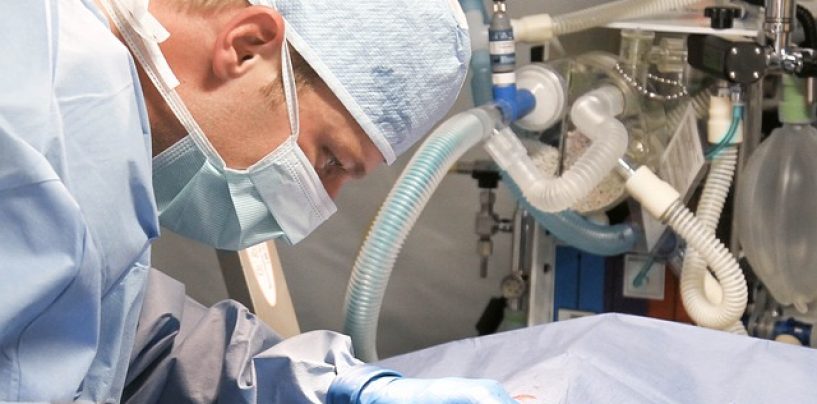 NAJBOLJI LIJEČNICI U HRVATSKOJ PO IZBORU PACIJENATA