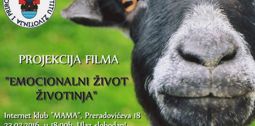 “EMOCIONALNI ŽIVOT ŽIVOTINJA” U KLUBU MAMA