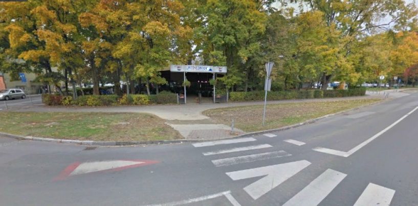 BOBANOVE LAŽI O MEDVEDNICI KUPLJENOJ  ZA 2849 DEM ILI 97 POSTO STVARNE VRIJEDNOSTI