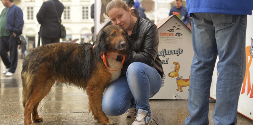 UDOMLJAVANJE JE FORA