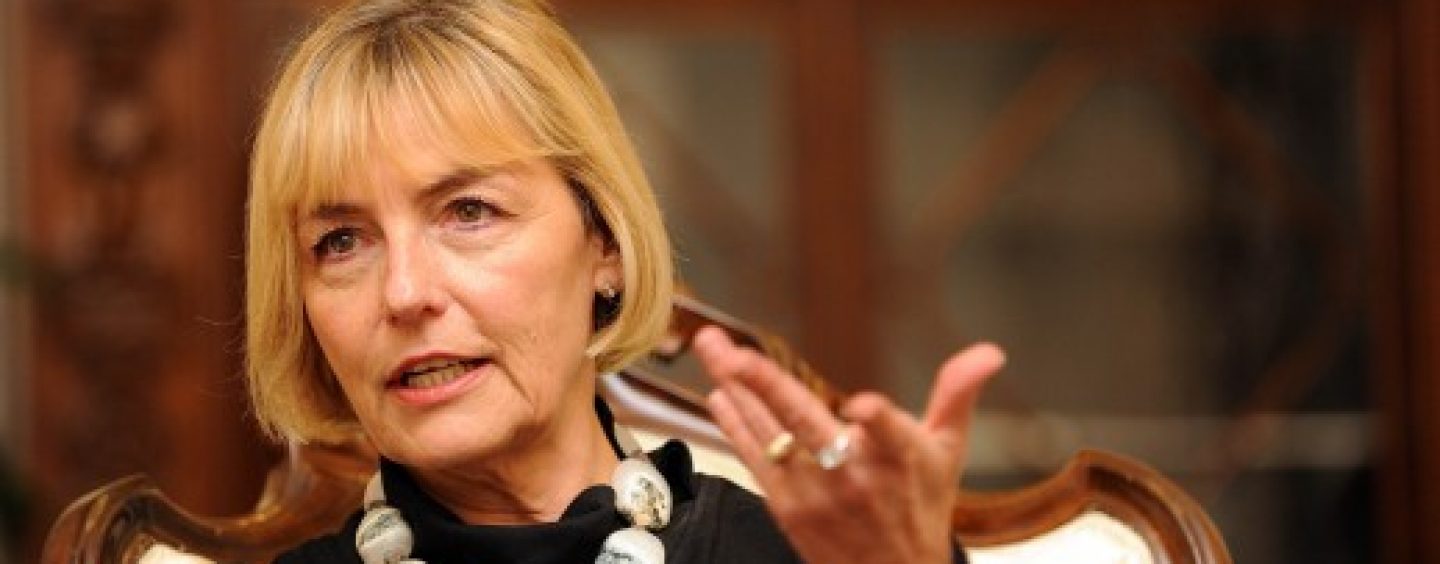 HNES: O VELEIZDAJI VESNE PUSIĆ OBAVJESTILI SMO UN