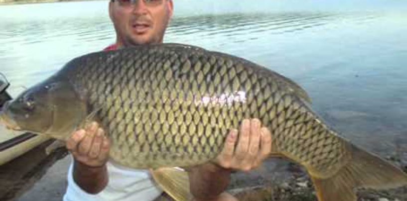 JEZERO PERUČA PORIBLJENO ŠARANIMA