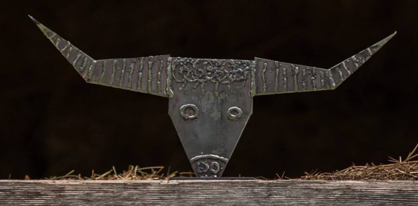 KIPARI ALANA KAJFEŽ I NIKOLA VUDRAG NA PALMIŽANI