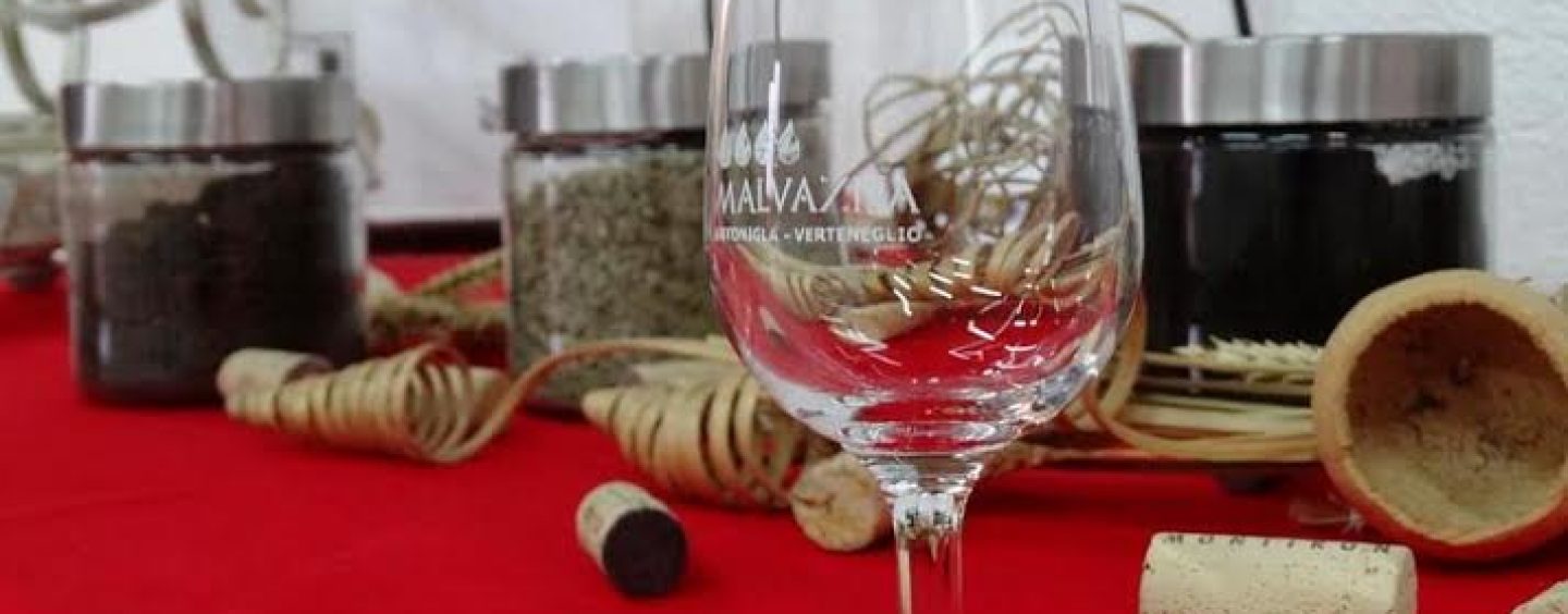 FESTIVAL MALVAZIJE U BRTONIGLI