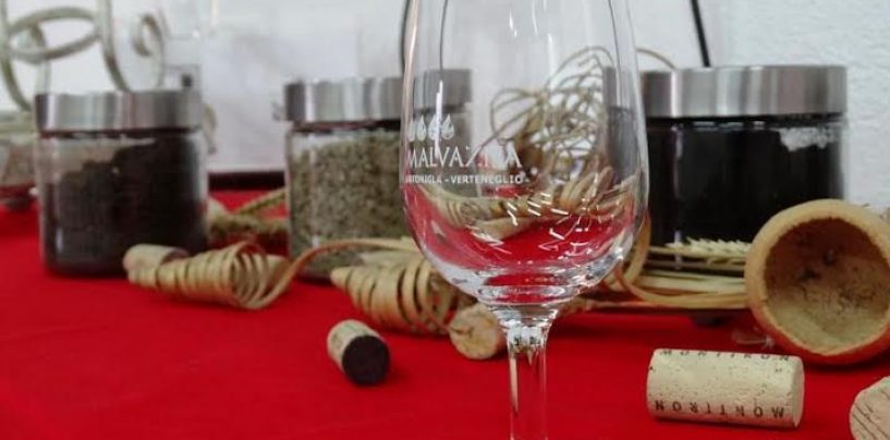 FESTIVAL MALVAZIJE U BRTONIGLI