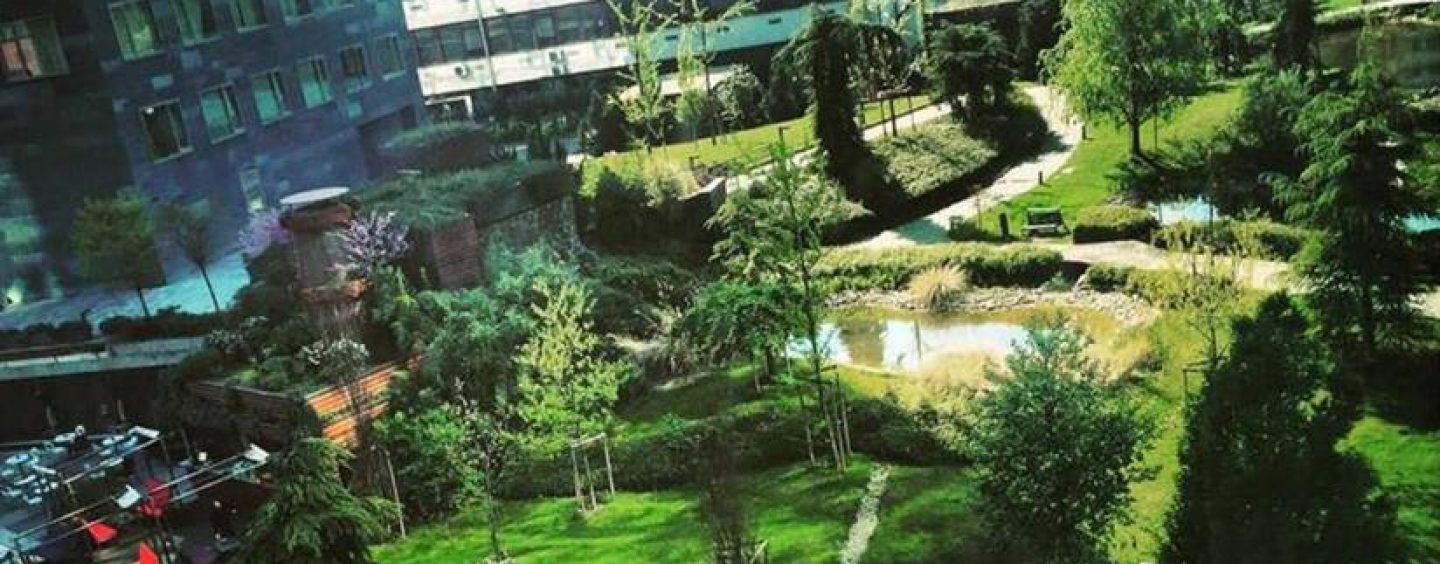 SUMMER GARDEN FESTIVAL U GREEN GOLDU