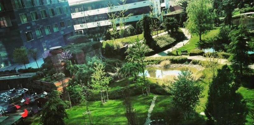 SUMMER GARDEN FESTIVAL U GREEN GOLDU