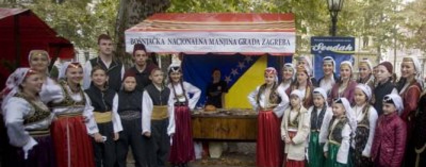 DAN NACIONALNIH MANJINA NA ZRINJEVCU