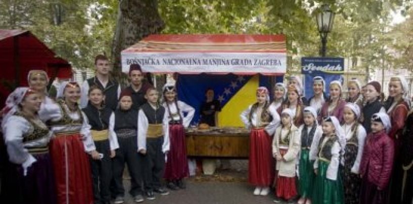 DAN NACIONALNIH MANJINA NA ZRINJEVCU