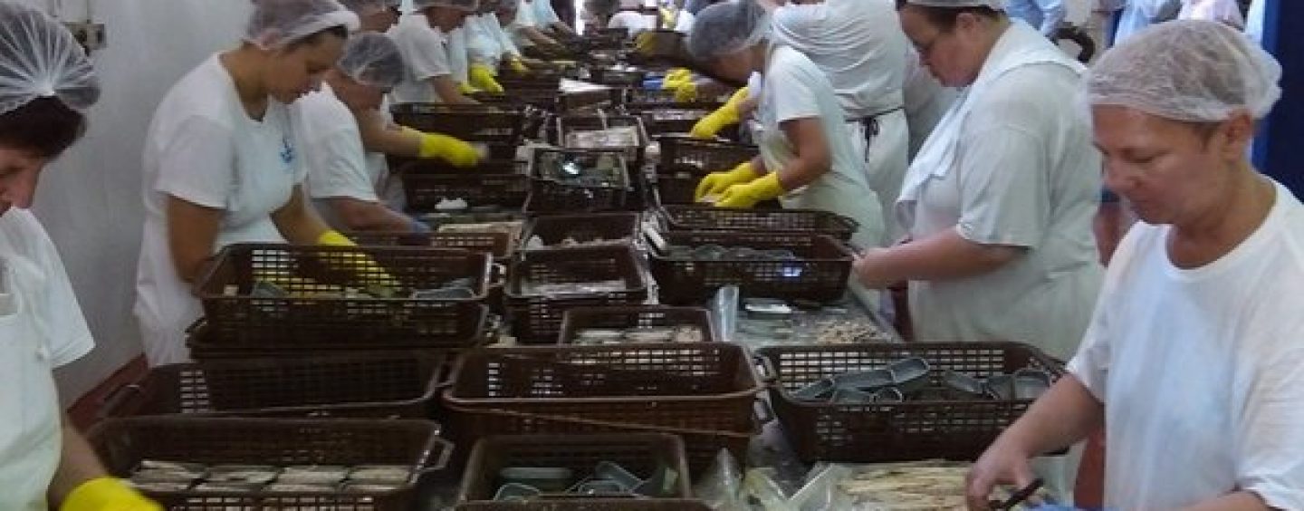 POTPORE OTOČNIM POSLODAVCIMA