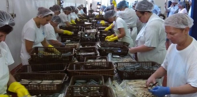 POTPORE OTOČNIM POSLODAVCIMA