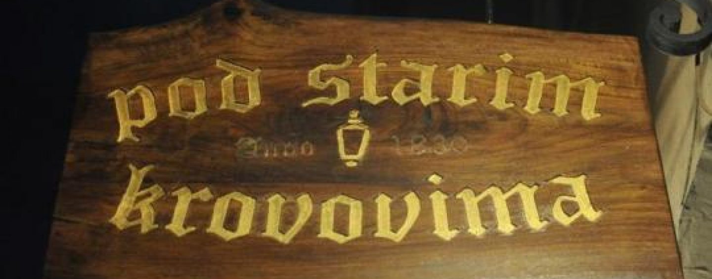 SOFIJA ŽIVKOVIĆ NA JUTRU POEZIJE