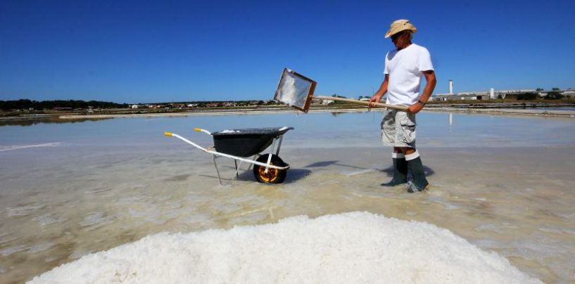 DAN OTVORENIH VRATA SOLANE NIN