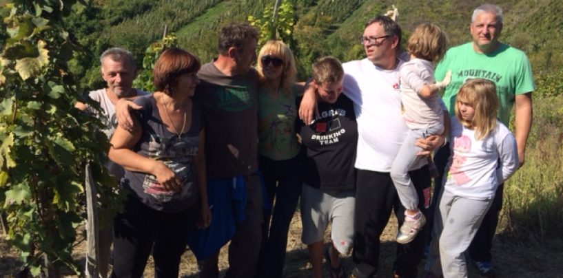 U JASKI VIŠE GROŽĐA NEGO LANI