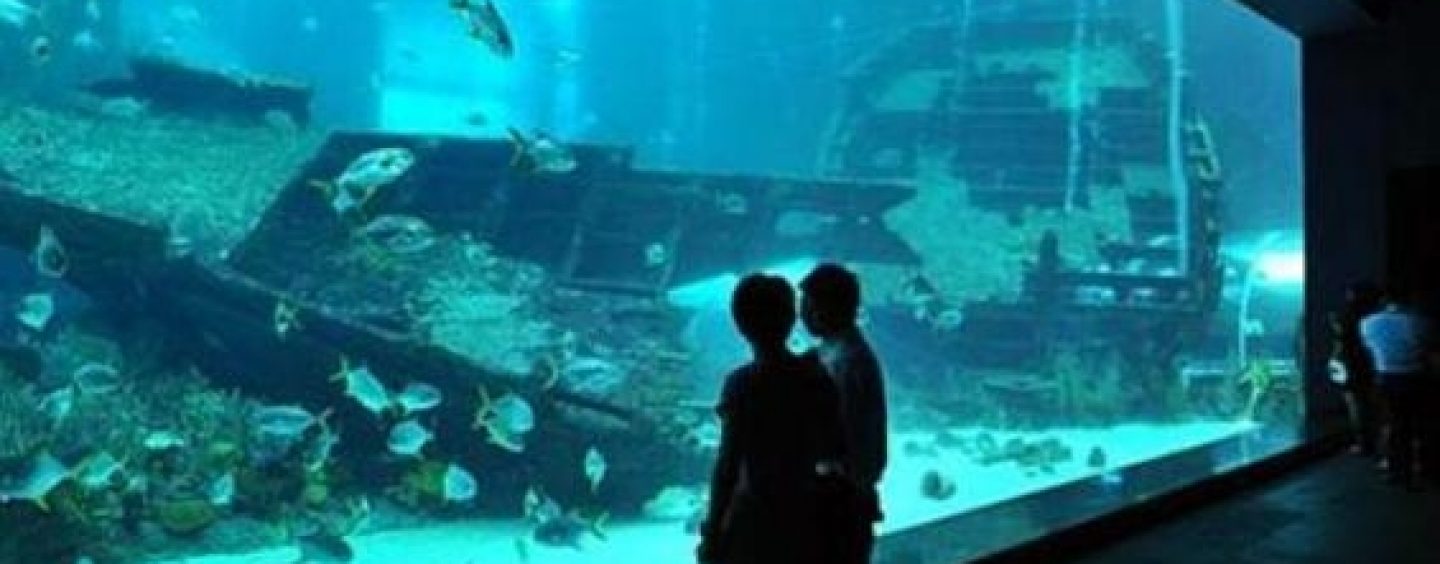 PRVI SLATKOVODNI AKVARIJ “KAQUARIUM” U KARLOVCU