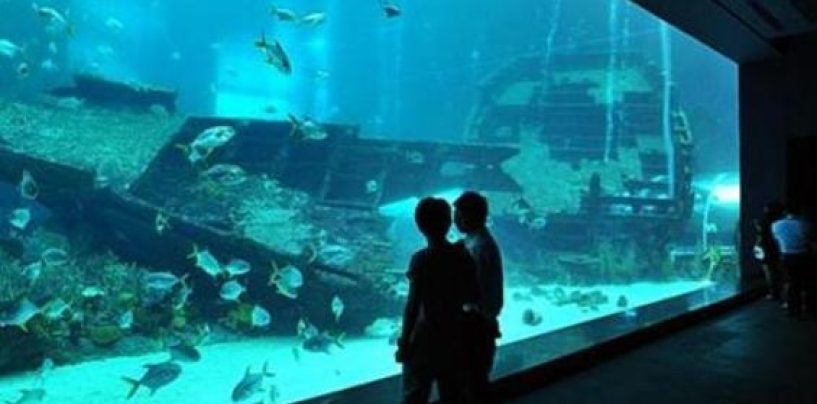 PRVI SLATKOVODNI AKVARIJ “KAQUARIUM” U KARLOVCU