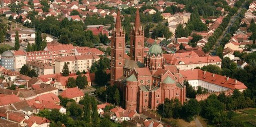 HNS ĐAKOVO: Novi život knjigama