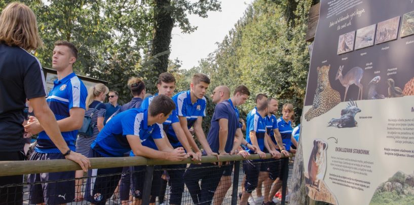 SURADNJA DINAMA I ZOOLOŠKOG VRTA