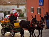 BOŽIĆNI SAJAM U BRTONIGLI
