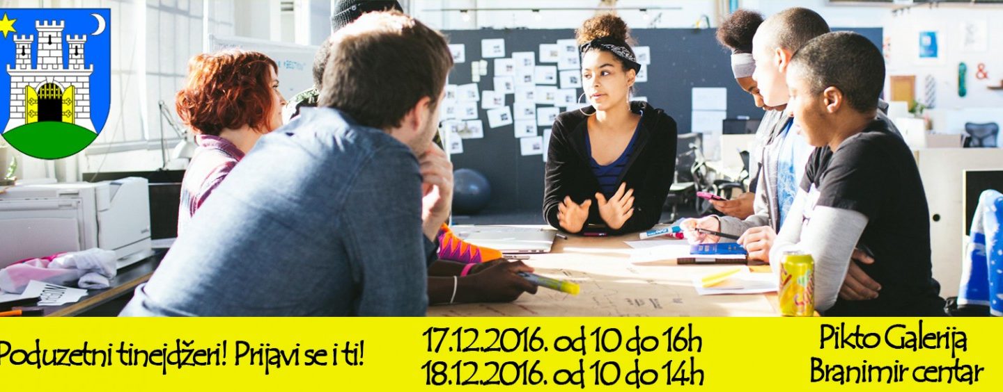 PODUZETNI TINEJDŽER