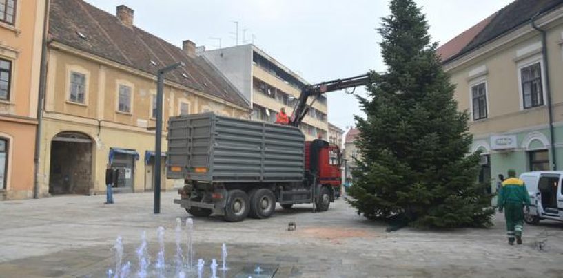 ADVENTSKA RAZGLEDNICA IZ SISKA