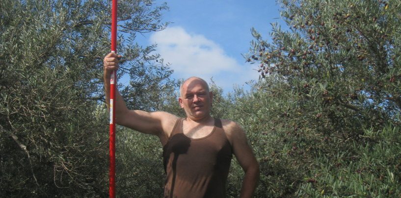 ZAVRŠILA BERBA MASLINA NA KORČULI