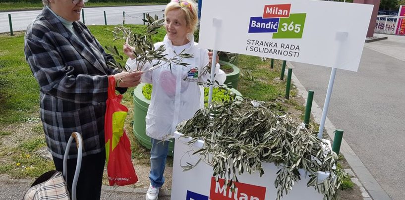 MASLINOVE GRANČICE ZA GRAĐANE