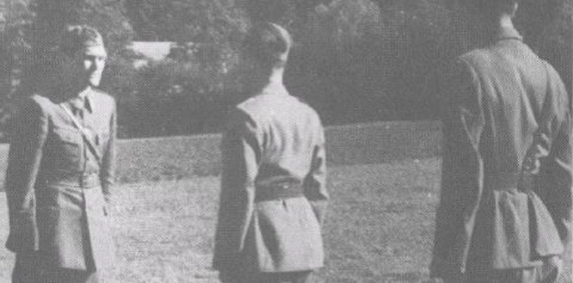 LIKVIDATORI IZ 11. DALMATINSKE BRIGADE