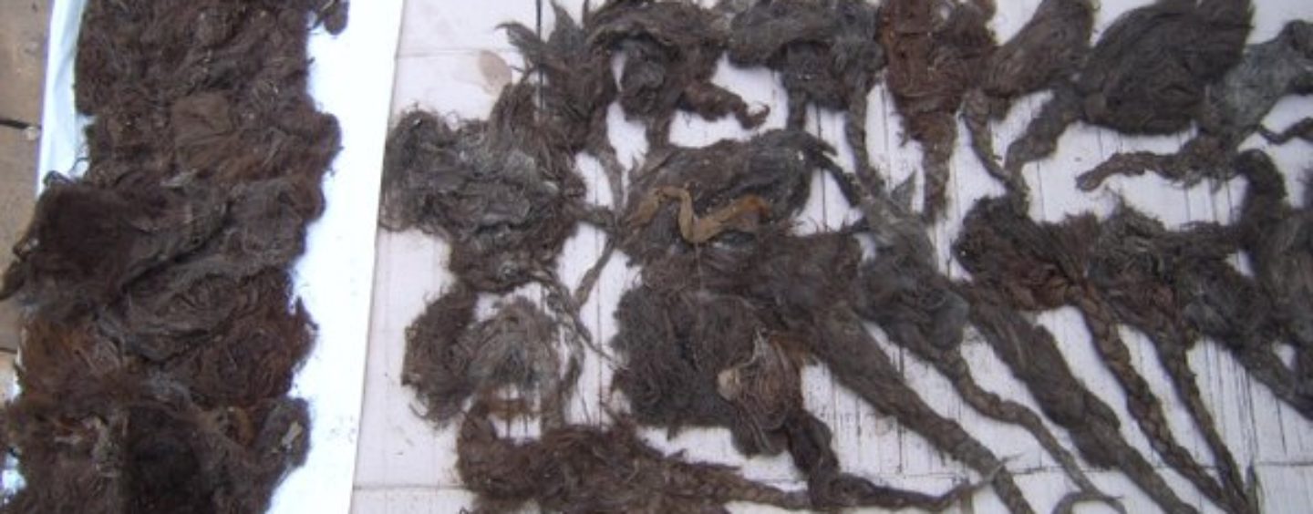 BAUK DRUGOVA KRUŽI SLOVENIJOM